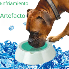Summer Cooling Pet Bowls for Dogs