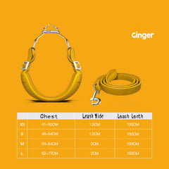 Dog Harness for Pets