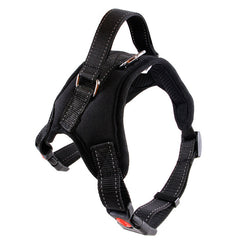 Small Dog Vest with Rope Chest and Back Design
