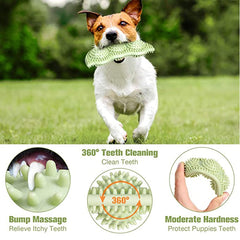 Bite-Resistant Dog Toy - Interactive Chewing