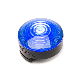 LED Dog Collar Light for Night Safety and Visibility