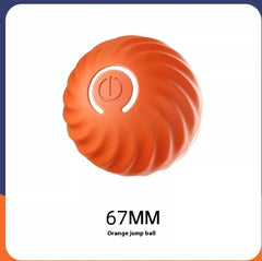 Pet Dog Rubber Ball