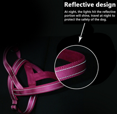 Pet Dog Harness with Leash for Walking