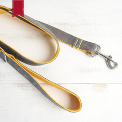 Creative Gray Dog Leash