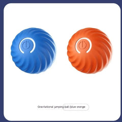 Pet Dog Rubber Ball