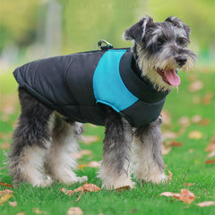 Dog Down Jacket