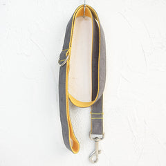 Creative Gray Dog Leash
