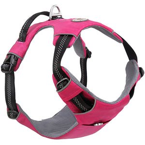 Dog Harnesses