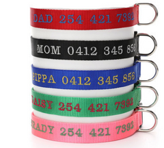 Dog Collar with Anti-Loss and Embroidered Design
