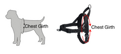 Pet Dog Harness with Leash for Walking