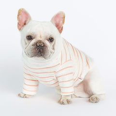 Dog Clothes for Small Breeds - Embroidered