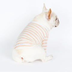 Dog Clothes for Small Breeds - Embroidered