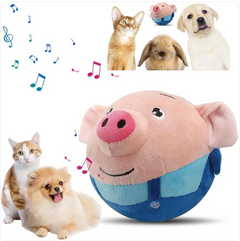 Squeaky Dog Toy - Plush