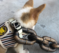 Dog Leash Iron Chain