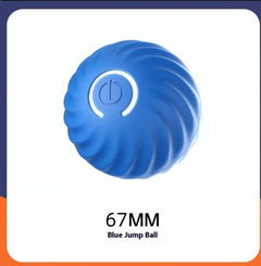 Pet Dog Rubber Ball